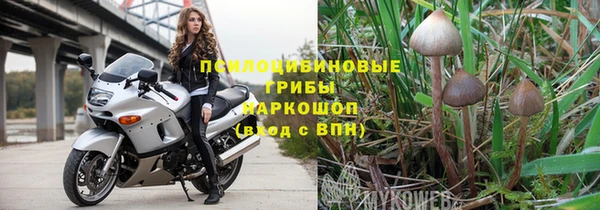 твердый Нефтегорск