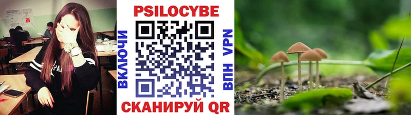 ссылка на мегу зеркало  Порхов  Галлюциногенные грибы Cubensis 